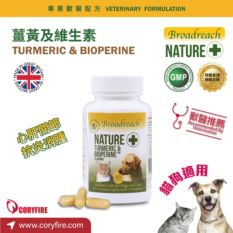 Broadreach Nature - 薑黃及維生素丸 (貓/犬隻專用) 60粒