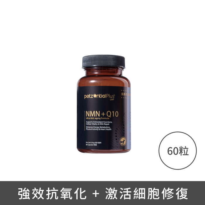 PetzentialPlus UAF NMN + Q10