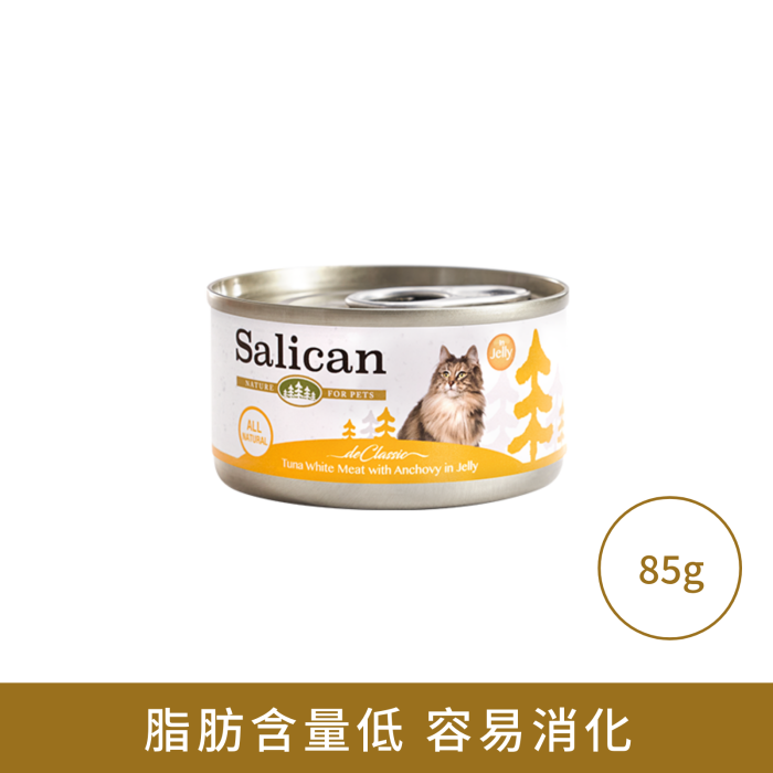 Salican 白肉吞拿魚 鯷魚(啫喱)貓罐頭 85g